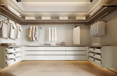 Modern Walk-in Closet