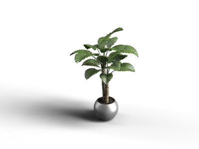 Modern Potted Plant