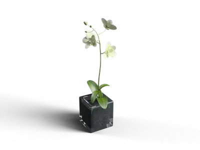 Modern Potted Plant