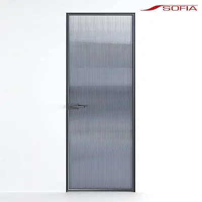 Modern Single Door