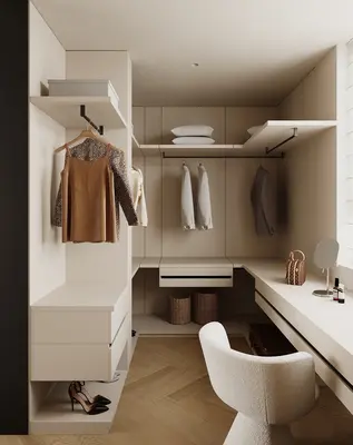 Modern Walk-in Closet