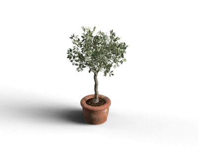 Modern Potted Plant