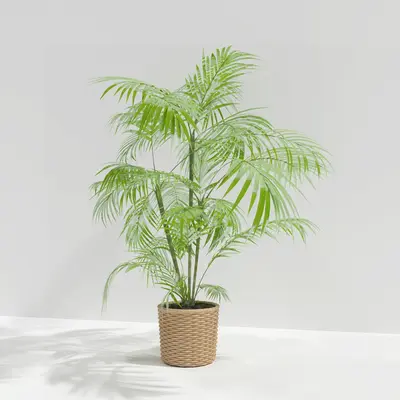 Modern Indoor Aerial View