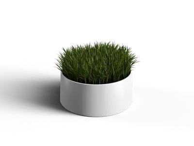 Modern Potted Plant