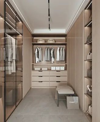 Modern Walk-in Closet