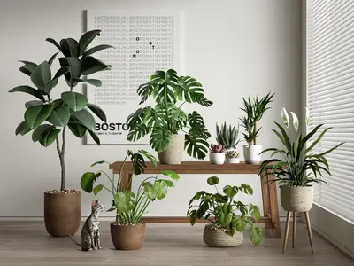 Modern Potted Plant