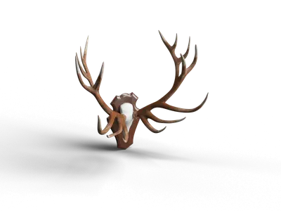 Modern Wall Hangings