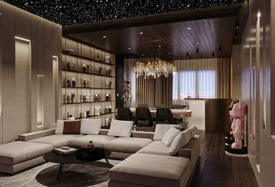 Modern Entertainment Rooms