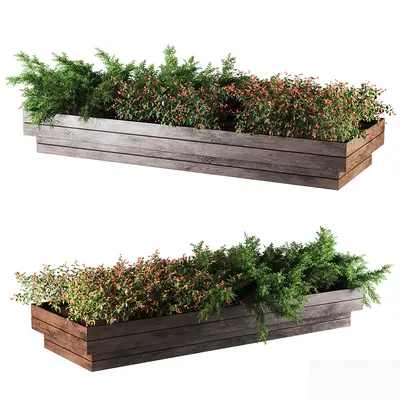 Modern Flower Box