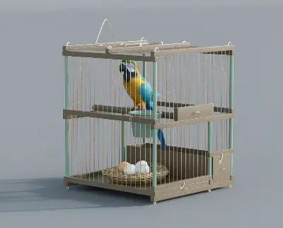 Modern Other Pet Supplies