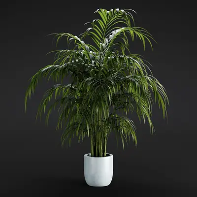 Modern Potted Plant