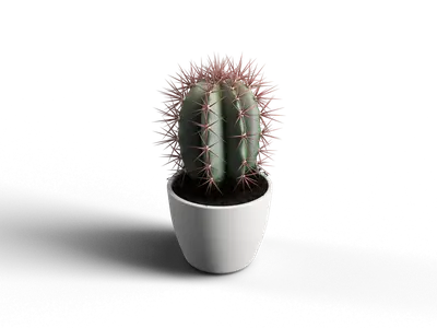Modern Potted Plant