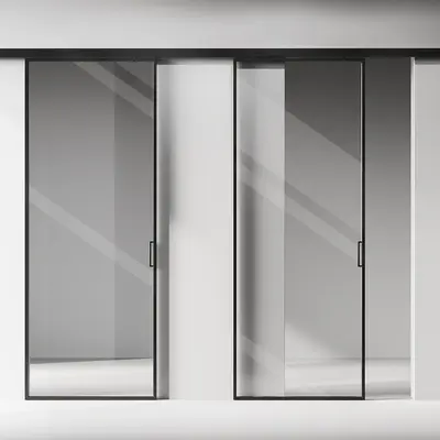 Modern Sliding Door