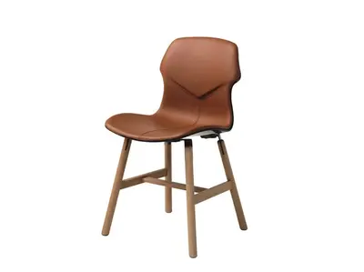 Modern Dining Chair