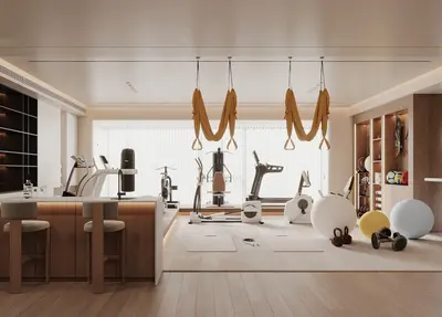 Modern Home Gym