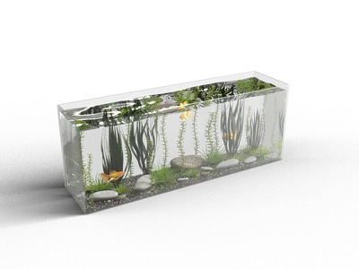 Modern Fish Tank