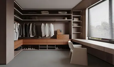 Modern Walk-in Closet