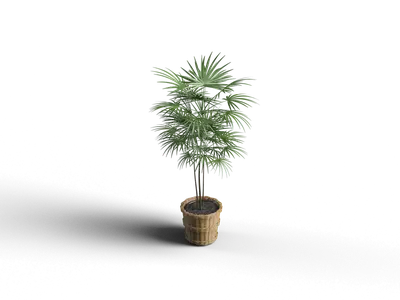 Modern Potted Plant