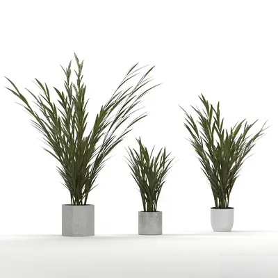 Modern Indoor Aerial View