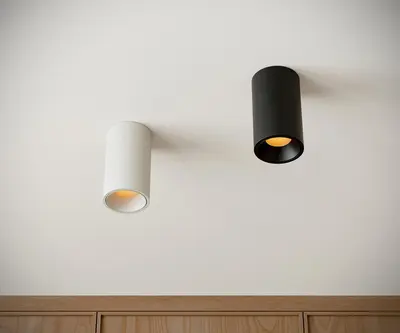 Modern Downlight & Spotlight