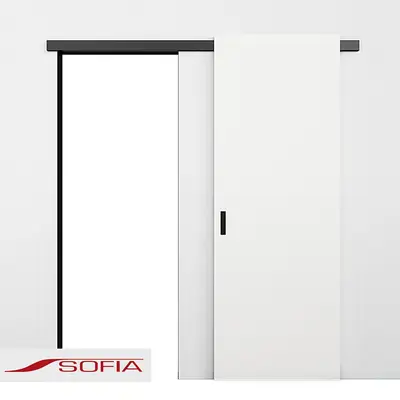 Modern Sliding Door
