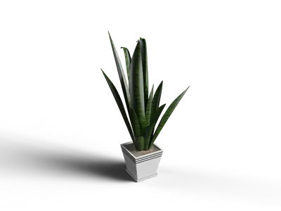 Modern Potted Plant