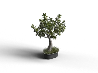 Classical Chinese Potted Plant