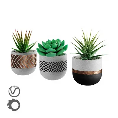 Modern Indoor Aerial View