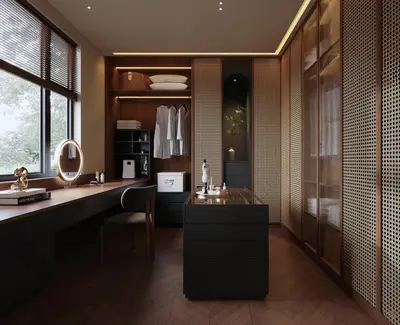 Modern Walk-in Closet