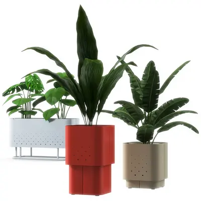 Modern Indoor Aerial View