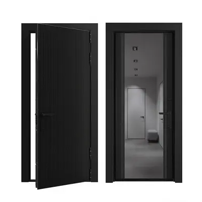 Modern Single Door