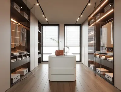 Modern Walk-in Closet