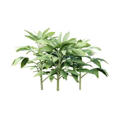 Mid-Century Modern Dog