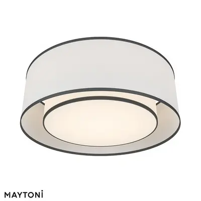 Modern Flush Mount Light