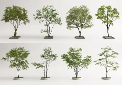 Modern Trees