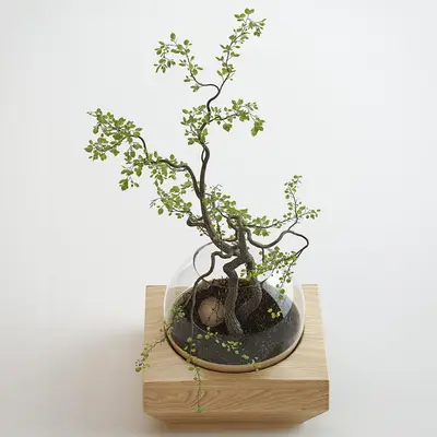 Modern Indoor Aerial View