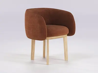 Modern Lounge Chair