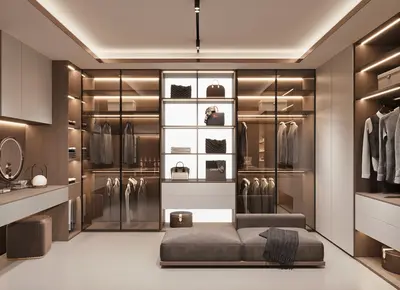 Modern Walk-in Closet