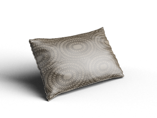 Modern Cushion