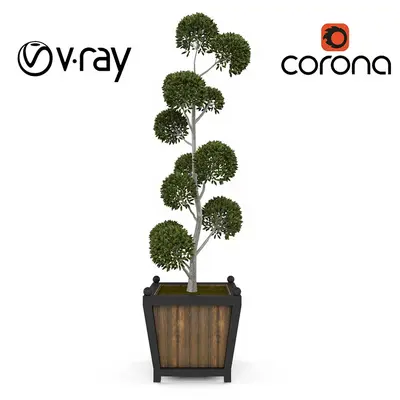 Modern Indoor Aerial View