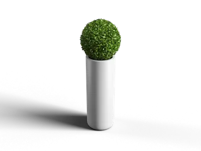 Modern Potted Plant