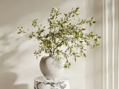 Modern Bonsai