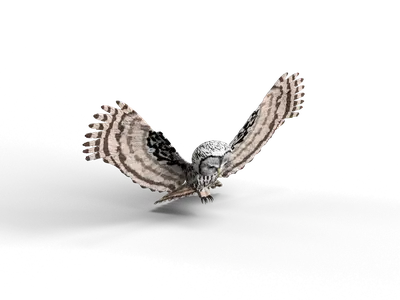 Modern Flying Animal