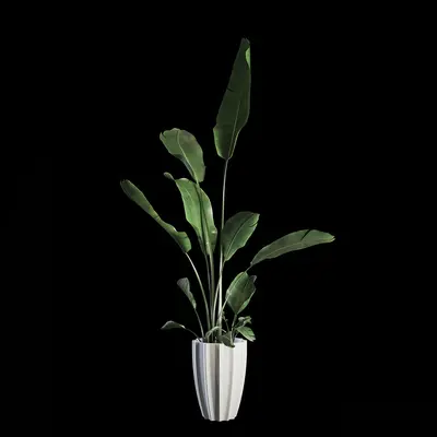 Modern Indoor Aerial View