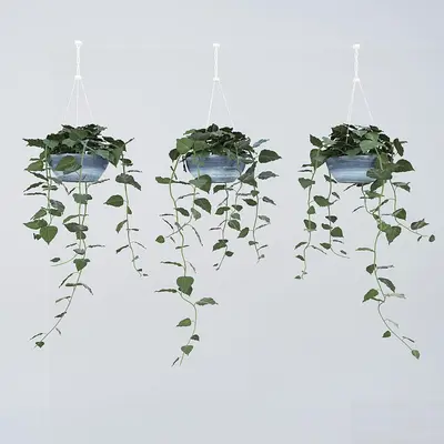 Modern Indoor Aerial View