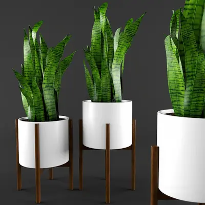 Modern Indoor Aerial View