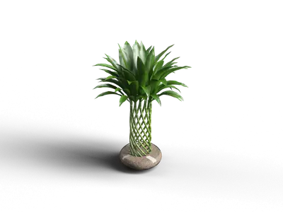 Modern Potted Plant