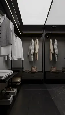 Modern Walk-in Closet