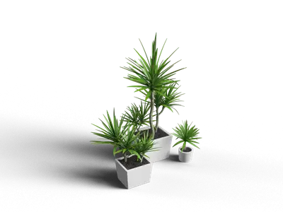 Modern Potted Plant