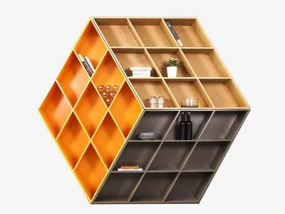 Modern Bookcase